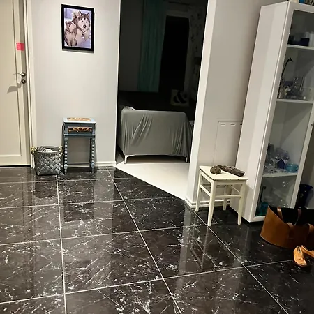 Casa vacanze Hienoa Talo Porealtaalla Laehellae Helsinkiae Ja Lentokenttaeae