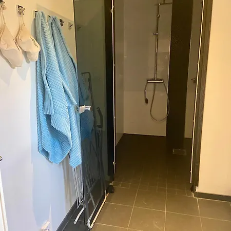 Hienoa Talo Porealtaalla Laehellae Helsinkiae Ja Lentokenttaeae *